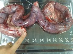 -达爱动物医院·犬猫分区·CT·复杂眼科(远洋山水分院)