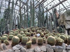 -南山植物园