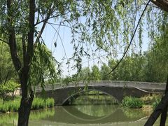 -东郊湿地公园