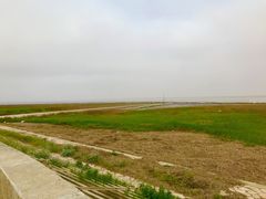 -南汇嘴观海公园