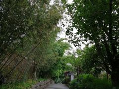 -老茶树山水庭院火锅(126店)