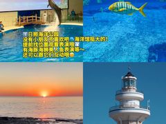 -日照灯塔风景区