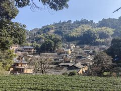 -杨家堂村