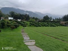 -云禾壹海景庄园餐厅
