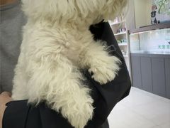 -天宠宠物医院24小时·急重症诊疗中心·全科·腔镜特色(和平分院)