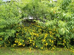 -江南大学(蠡湖校区)
