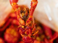 -老长沙龙虾馆·聚会餐厅(白石洲店)