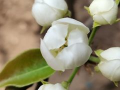 -天津东丽湖风景区