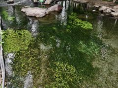-水磨沟公园