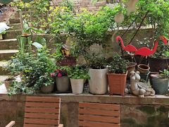 -鱼乐岛餐厅·户外花园主题餐厅