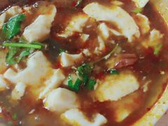 -新繁牛肉豆花(都江堰店)