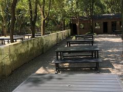 -同里国家湿地公园