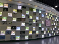 -盐城丹顶鹤湿地生态旅游区