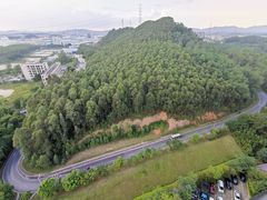 -美的鹭湖森林度假区