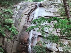 -内乡宝天曼生态旅游区