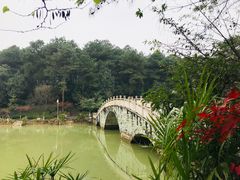 -铁山坪森林公园