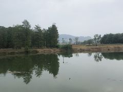 -四明湖