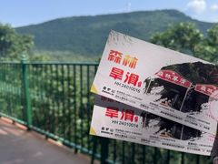 -香炉山国家森林公园