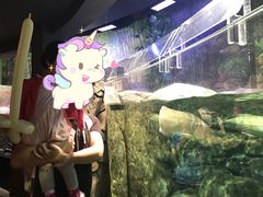 -成都浩海立方海洋公园