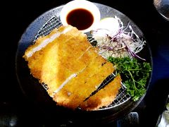 -春草居酒屋·晴子の店