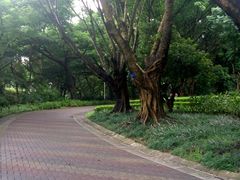 -人民公园(罗湖区)