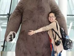 -济州岛泰迪熊博物馆