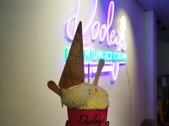 -Dooley's Premium Ice Cream