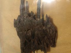 -香市公园-中国沉香文化博物馆