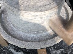 -前小桔亲子创意农场·草莓采摘·露营烧烤