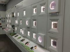 -中国茶叶博物馆(双峰馆区)