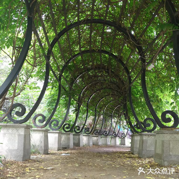 沿着三环的熊猫绿道骑行而来，并不远在华侨城对面