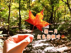 -云峰山自然风景区