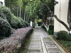 -上海市保健医疗中心(华东疗养院)