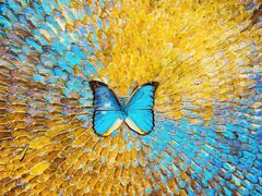 -上海昆虫博物馆