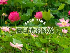 -迎泽公园