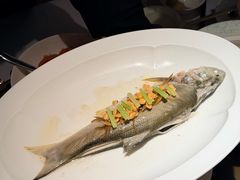 -粤界(望京金辉店)