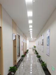 -碧莲盛·不剃发植发