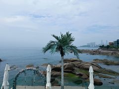 -Vanillacafe香草咖啡(银海大世界店)