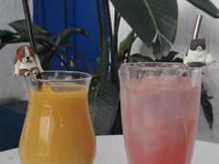 -Sirena海妖日咖夜酒