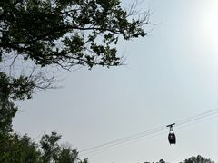 -大青沟风景区