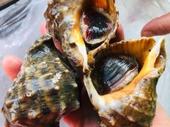 -鸿港海鲜批发市场