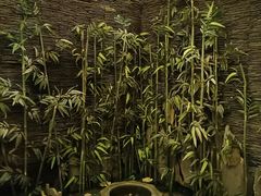 -家富富侨(西城店)