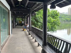 -重庆彩云湖湿地公园
