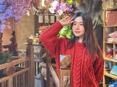 -叶叶菩提(太原别墅店)