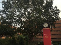 -香港理工大学