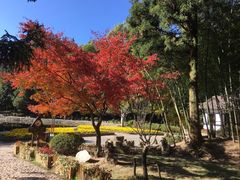 -庐山风景区花径公园