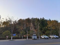 -青龙山国家森林公园