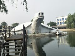 -东方巨龟苑景区