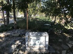 -阳台山自然风景区