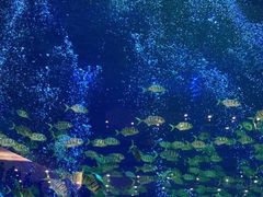 -成都浩海立方海洋公园